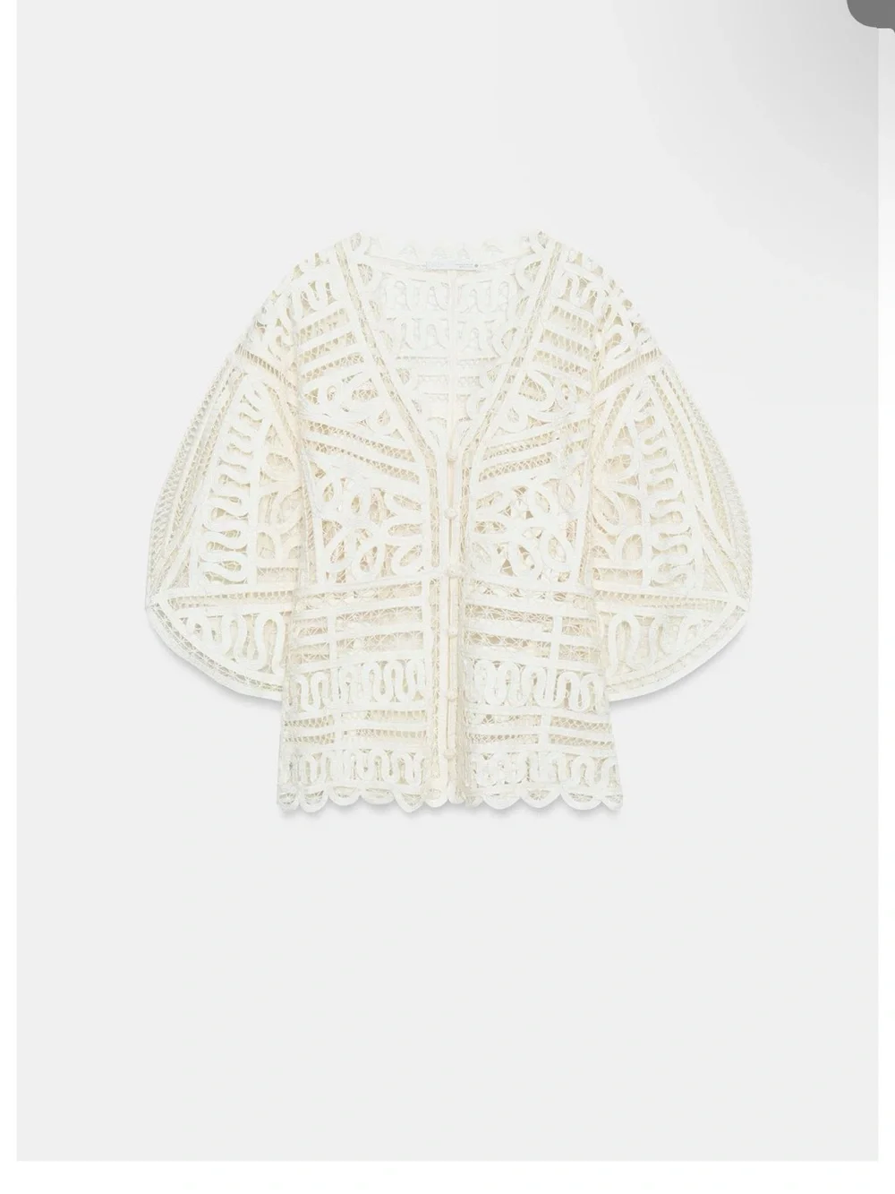 Zara ZW Collection Crochet Top